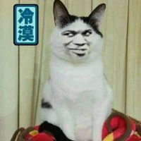 真人猥琐猫合集表情-98 