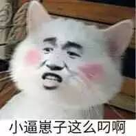 真人猥琐猫合集表情-94 