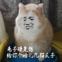 真人猥琐猫合集表情-73 