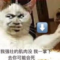 真人猥琐猫合集表情-20 