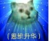 憨憨猫表情包-7 