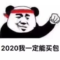 熊猫头-2020我一定能买包