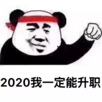 熊猫头-2020我一定能升值