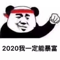 熊猫头-2020我一定能暴富