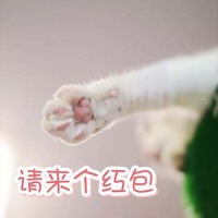 春节要红包表情包19