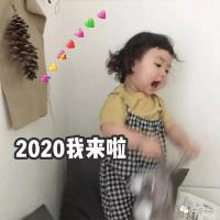 2020跨年祝福表情包-35