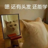 猫咪照镜子：嗯，还有头发，还能学