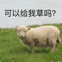 羊羊羊：可以给我草吗？（暗示）