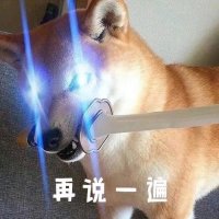 柴犬两眼特效放光咬着刀：再说一遍