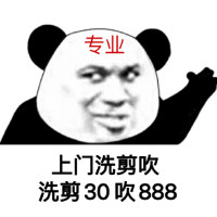 熊猫头上门洗吹剪：洗剪30吹888