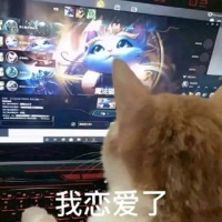 三次元猫咪看着二次元悠米：我恋爱了