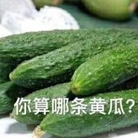 嘲讽表情包-你算哪根肉丝