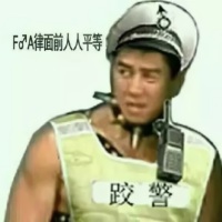 van化身为跤警：F♂A律面前人人平等