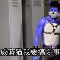 van：超威蓝猫我要搞♂事♂情