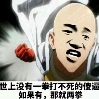 一拳超人：世界上没有一拳打不死的傻逼，如果有那就两拳