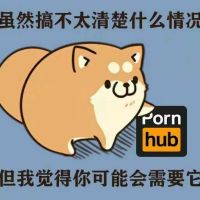 虽然搞不清楚什么情况，但我觉得你可能需要它-pornhub