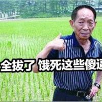 袁隆平：全拔了，饿死这些傻逼恶搞表情