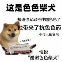 色色柴犬知道你又忍不住想要色色了就给你带来了抗色色药