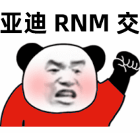 [高清]熊猫头生气的挥拳：比亚迪_RNM_交车