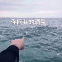 你问我的酒量_我指了指大海