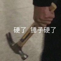 拿着一把锤子：硬了_锤子?硬了