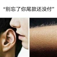 鸡皮疙瘩：别忘了你尾款还没付！