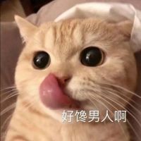 猫咪舔嘴：好馋男人啊