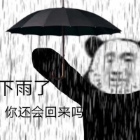 熊猫头大雨中流泪打伞：下雨了，你还会回来吗