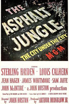 夜阑人未静 The Asphalt Jungle (1950) - 毒蛇电影