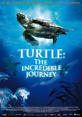 海龟奇妙之旅 Turtle: The Incredible Journey (2009) - 毒蛇电影