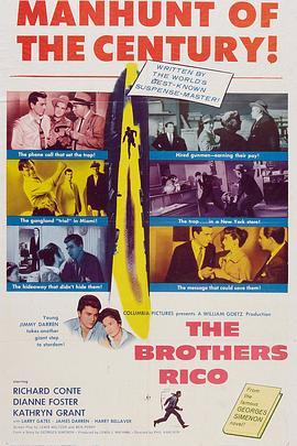 龙虎斗 The Brothers Rico (1957) - 毒蛇电影