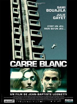 白色方块 Carré blanc (2011) - 毒蛇电影