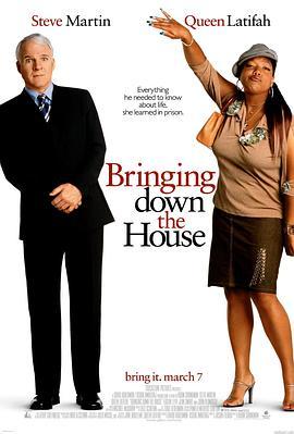 爱到房倒屋塌 Bringing Down the House (2003) - 毒蛇电影