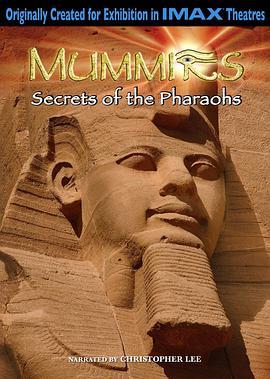 木乃伊之法老的秘密 Mummies: Secrets of the Pharaohs (2007) - 毒蛇电影