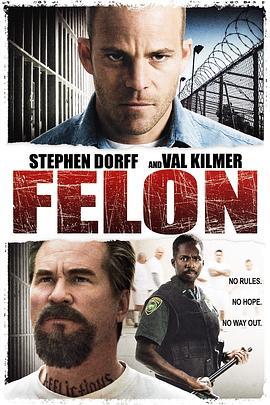 监狱生活 Felon (2008) - 毒蛇电影