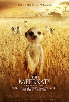 蒙哥 The Meerkats (2008) - 毒蛇电影