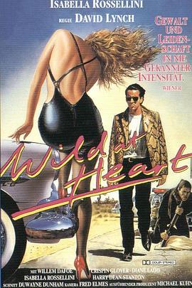 我心狂野 Wild at Heart (1990) - 毒蛇电影