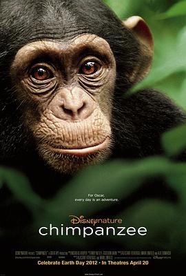 黑猩猩 Chimpanzee (2012) - 毒蛇电影