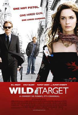 狂野目标 Wild Target (2010) - 毒蛇电影