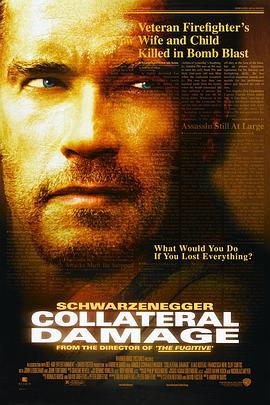 间接伤害 Collateral Damage (2002) - 毒蛇电影