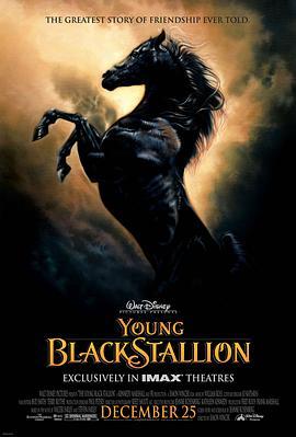 小黑马 The Young Black Stallion (2003) - 毒蛇电影