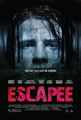 逃犯 Escapee (2011) - 毒蛇电影