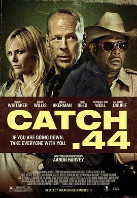 第44条军规 Catch .44 (2011) - 毒蛇电影