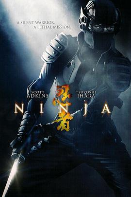 纽约行动 Ninja (2009) - 毒蛇电影