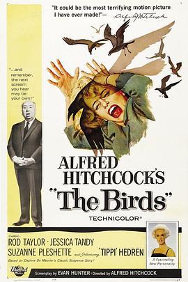 群鸟 The Birds (1963) - 毒蛇电影