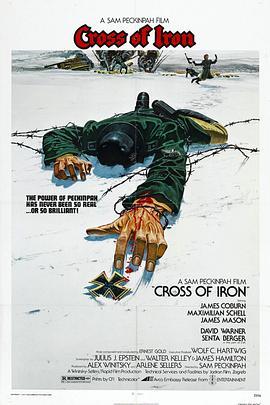 铁十字勋章 Cross of Iron (1977) - 毒蛇电影