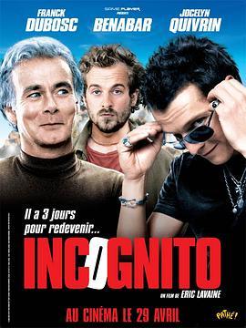 隐姓埋名 Incognito (2009) - 毒蛇电影