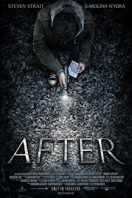 车祸之后 After (2012) - 毒蛇电影