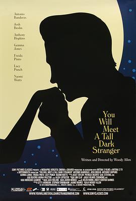 遭遇陌生人 You Will Meet A Tall Dark Stranger (2010) - 毒蛇电影