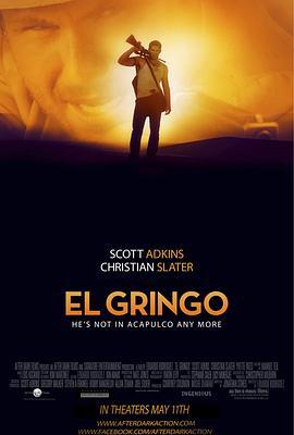 边境大逃亡 El Gringo (2012) - 毒蛇电影